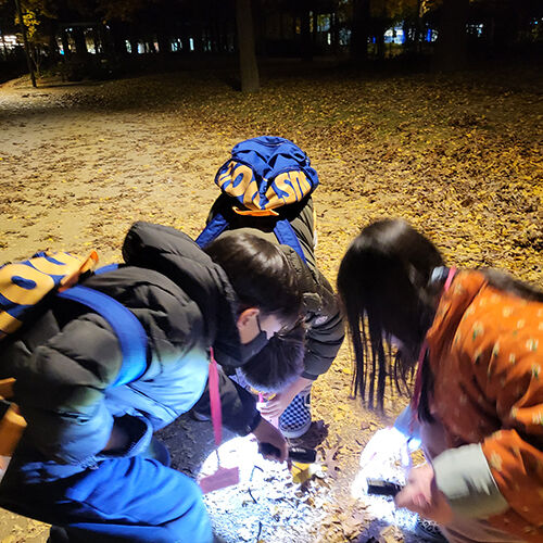 [서울/송파]올림픽공원 힐링 숲체험 / 깨비의숲마을과 함께 떠나요!!-i