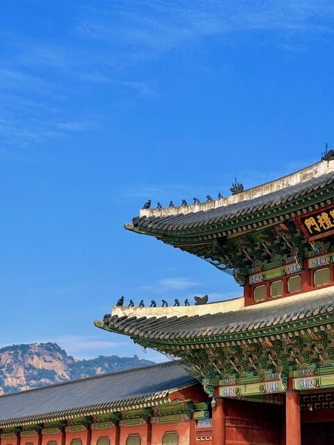 서울 투어 - 경복궁 투어, 궁궐로 떠나는 힐링여행 - 인문학 투어