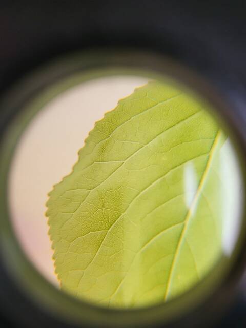 product-thumbnail-1
