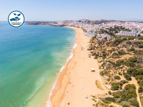 아파트먼트 릴리