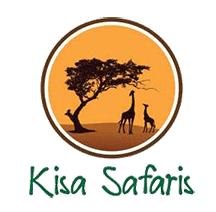 KISADEVELOPERS
