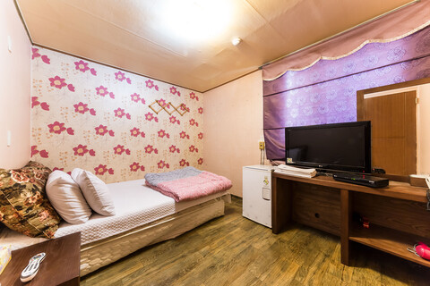 파주 금촌 금조