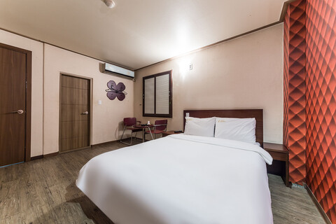 파주 금촌 에쿠스