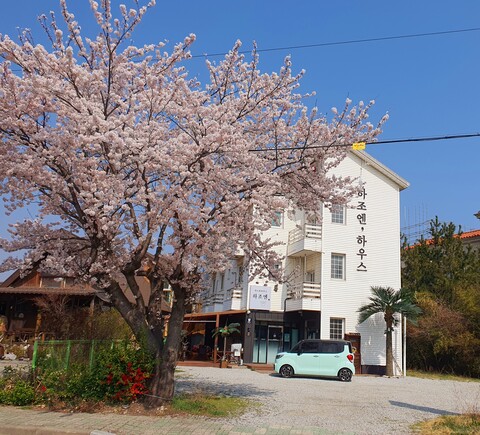 양양 하조엔 게스트하우스