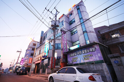 영천 미도