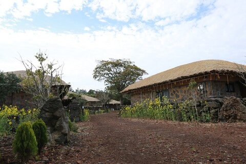 서귀포 초가인 inn 게스트하우스