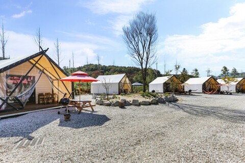 포천 달빛애견글램핑장