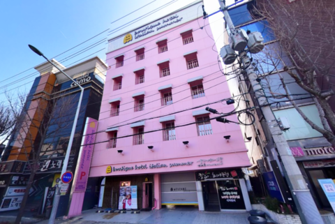 대구 경북대 이탈리안썸머