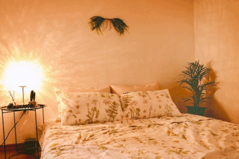 함덕 535 독채민박