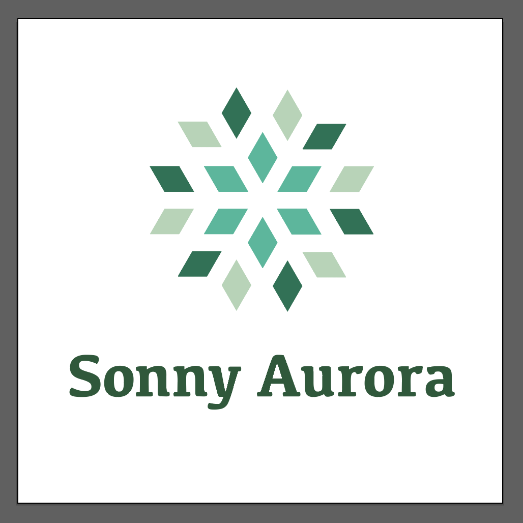 SONNY AURORA TOURS