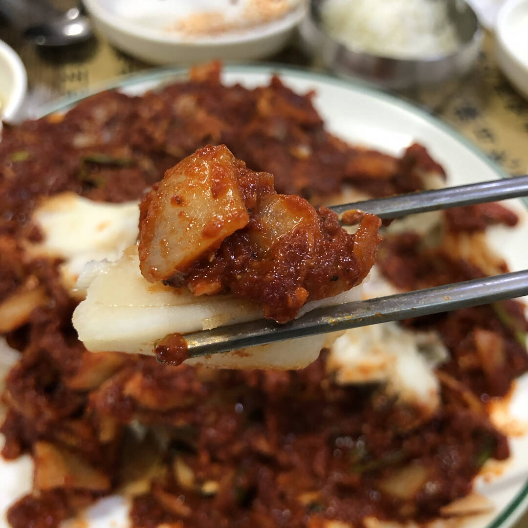 부산-자유톡2