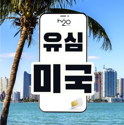 미국 유학유심 AT&amp;T 원하는 미국 지역번호로 개통 / 추가요금
