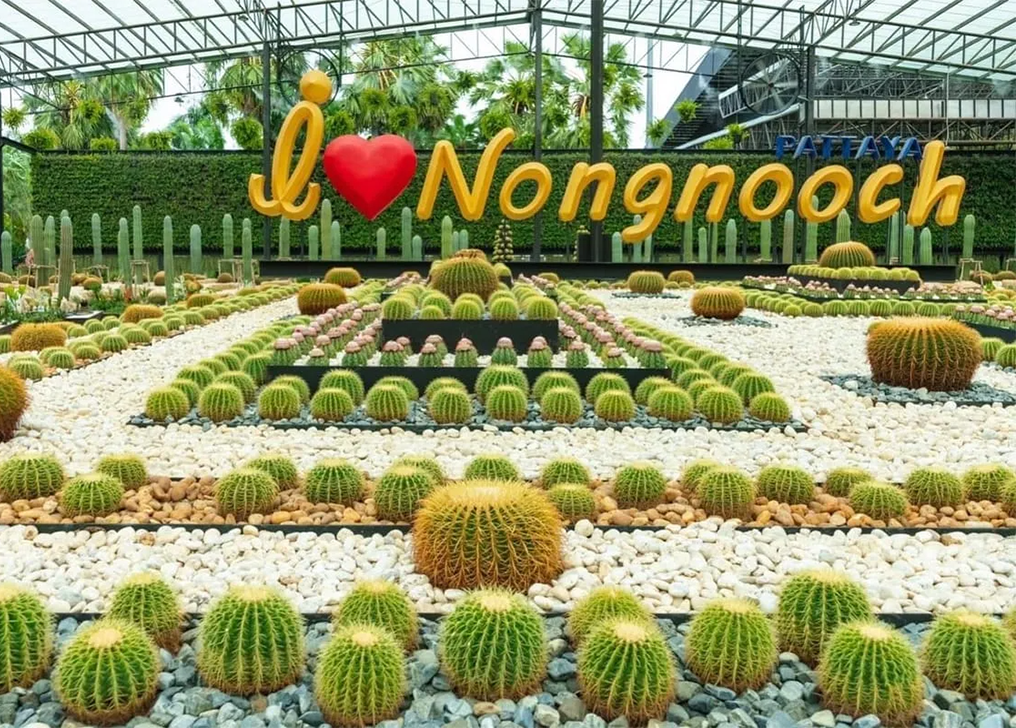 🌿🐘[가족여행 필수코스] 농눅빌리지,코끼리쇼, 민속체험