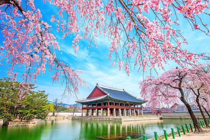 [트래블레이블] [서울] 경복궁 가이드 해설 투어-i