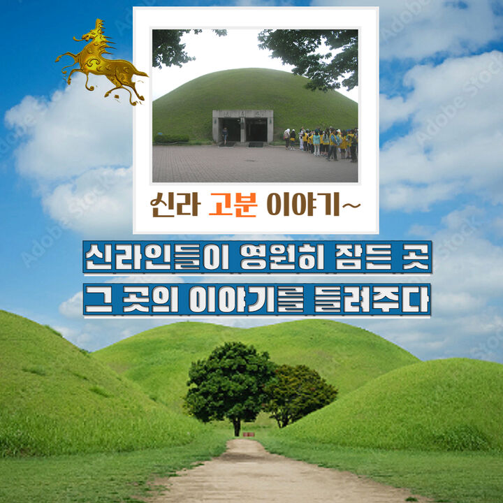 [키즈][경주] 가족&지인 단독(3인이상) 신라왕들의 안식처 신라고분 이야기-i