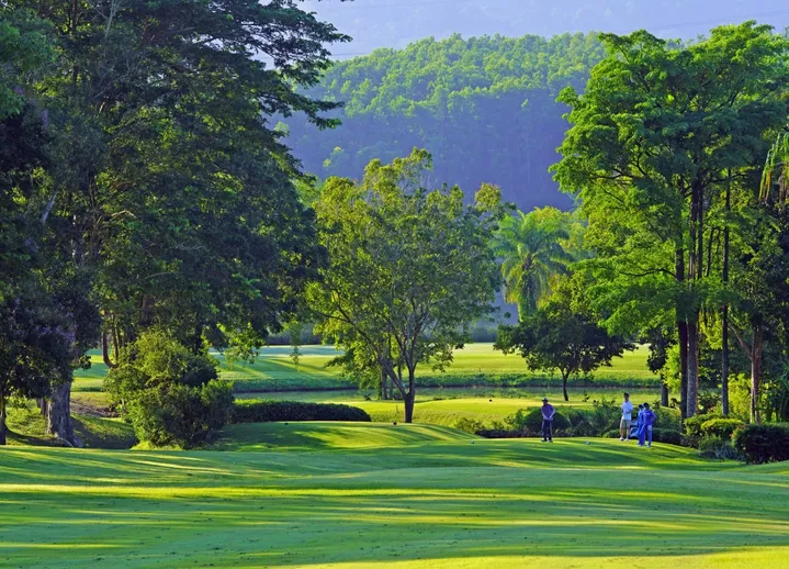⛳ 푸켓 블루 캐년 컨트리 클럽 캐년 코스 (+그린캐디카트 포함)-i