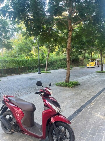 트릴랜드 힐사이드