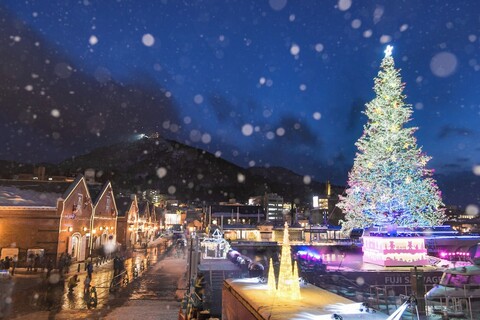 치쿠바 신요테이