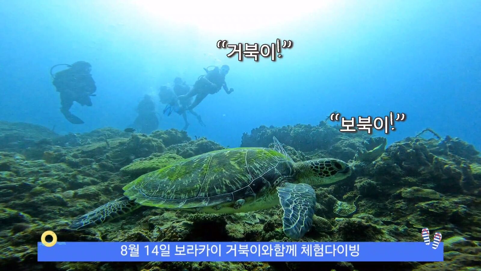 상품 사진 8