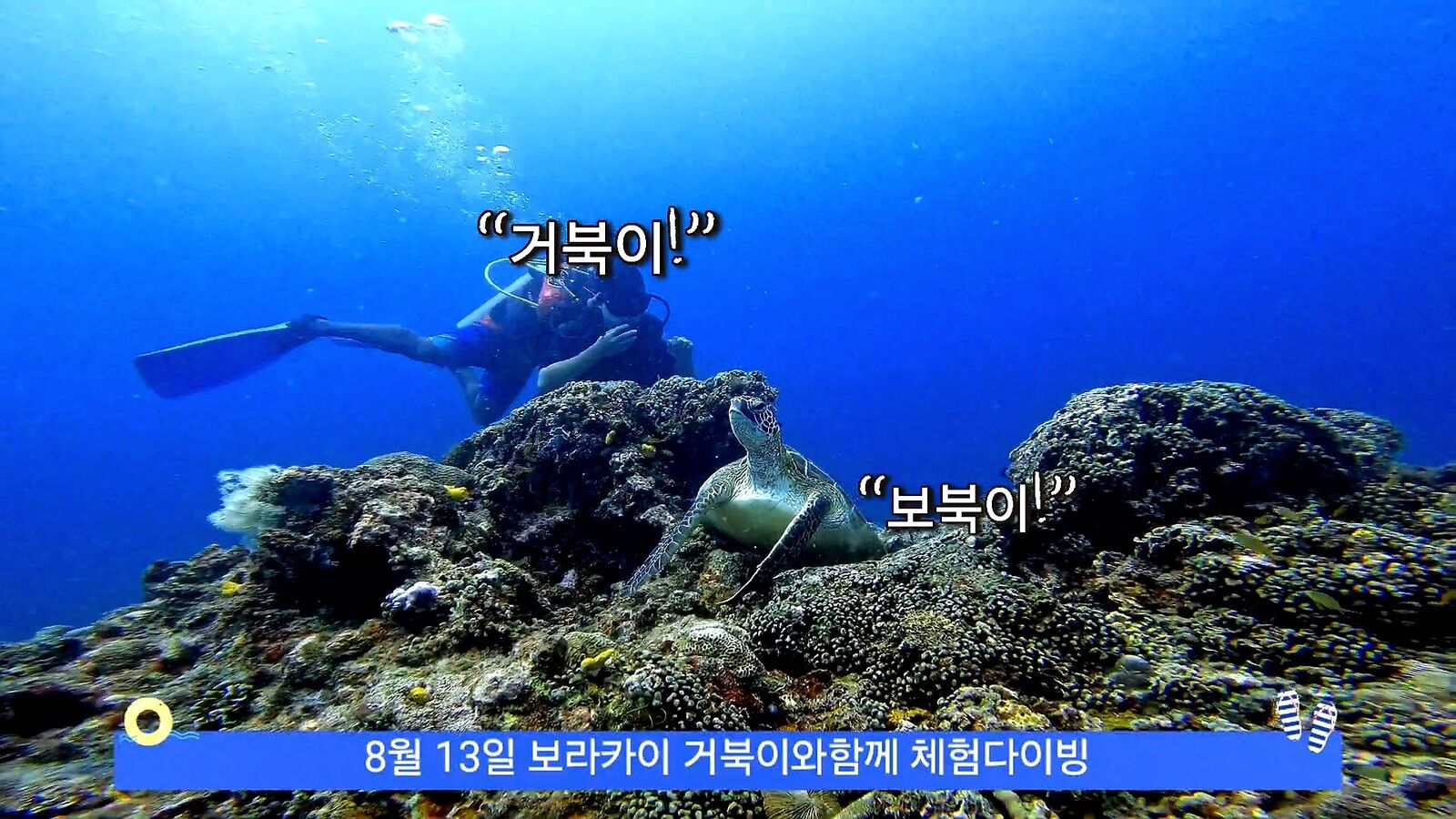상품 사진 7