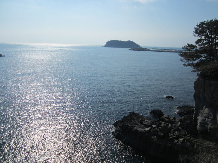 [제주남쪽] 제주 남부 숲길/해안 트레킹 여행 (차량단독투어)-i