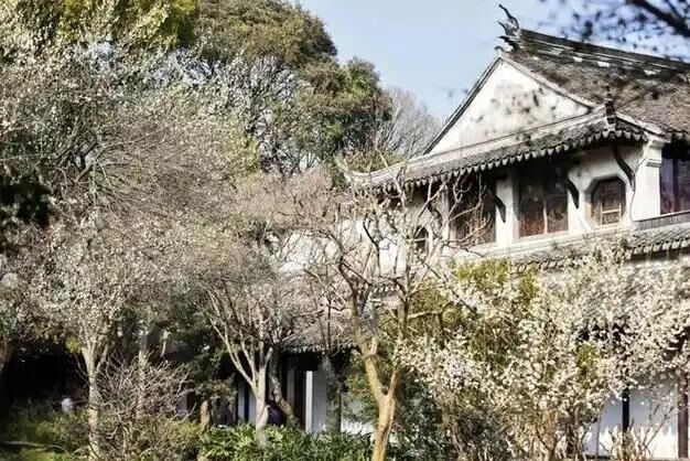 쑤저우 겸손한 관리자 정원 입장권 일일 입장권 성인 입장권 - 09:30-10:30 정원 -i