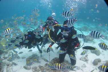 서귀포 스쿠버다이빙 가디언다이브 