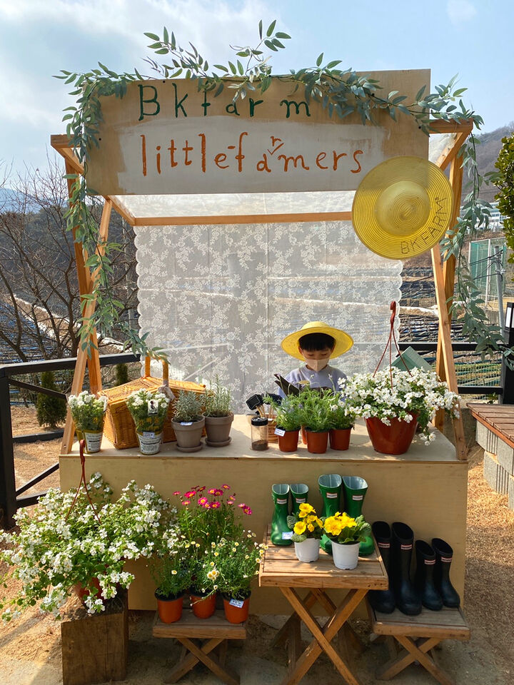 [충북/괴산] 봄을 데려가세요 : 보광산관공농원 가드닝 프로그램-i