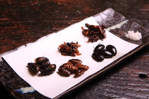product-thumbnail-4
