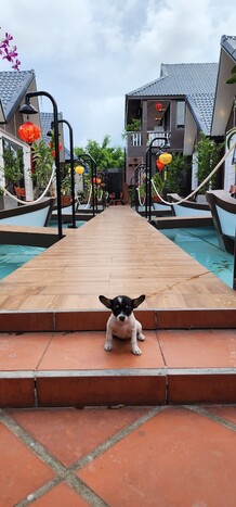 호이 안 코코 방갈로