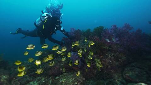 product-thumbnail-2