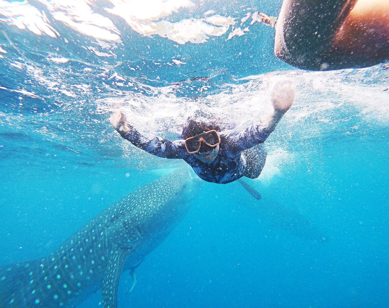 여행 상품 이미지