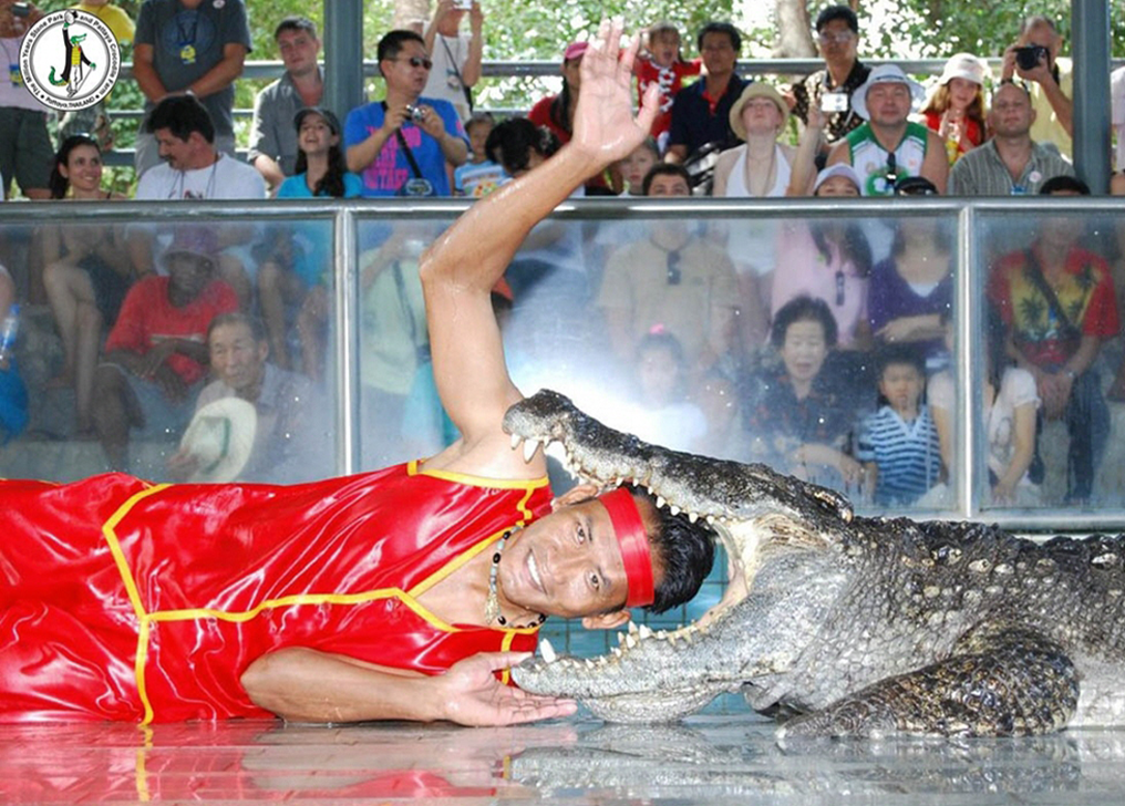 심장쫄깃❤️‍🔥 거대 바위🪨와 스릴만점 악어쇼🐊
