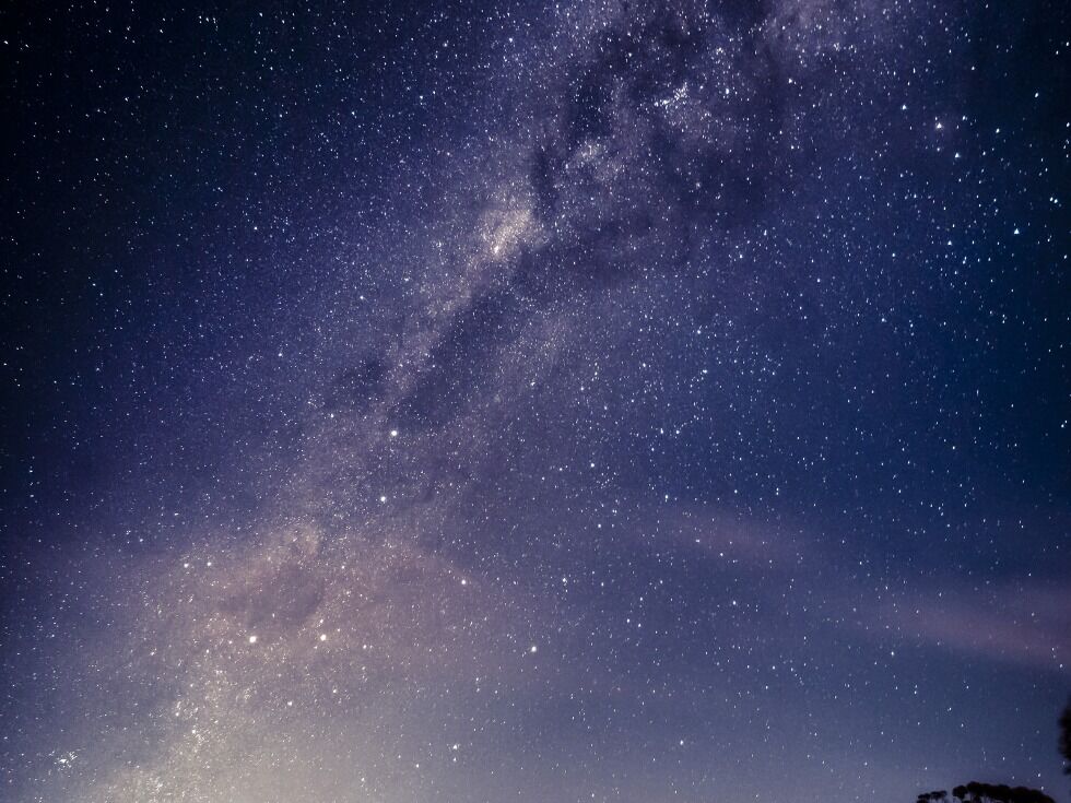 ✨전 일정 직접개발✨ 무게라 호수 은하수 투어 - 소시지