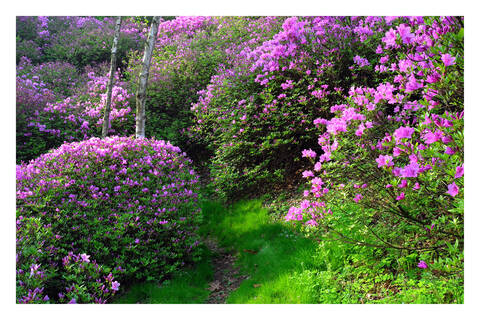 product-thumbnail-4