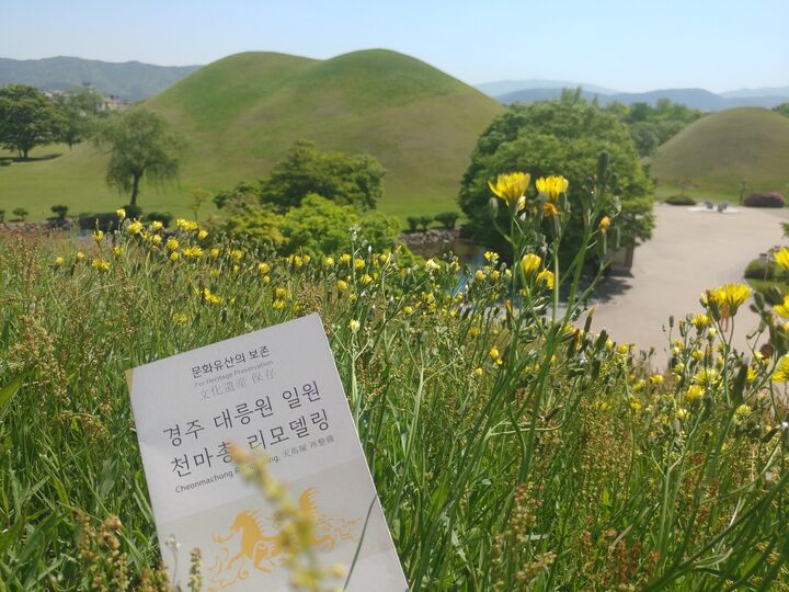 신라왕 마립간들이 묻힌 경주 신라고분 대탐험 -i