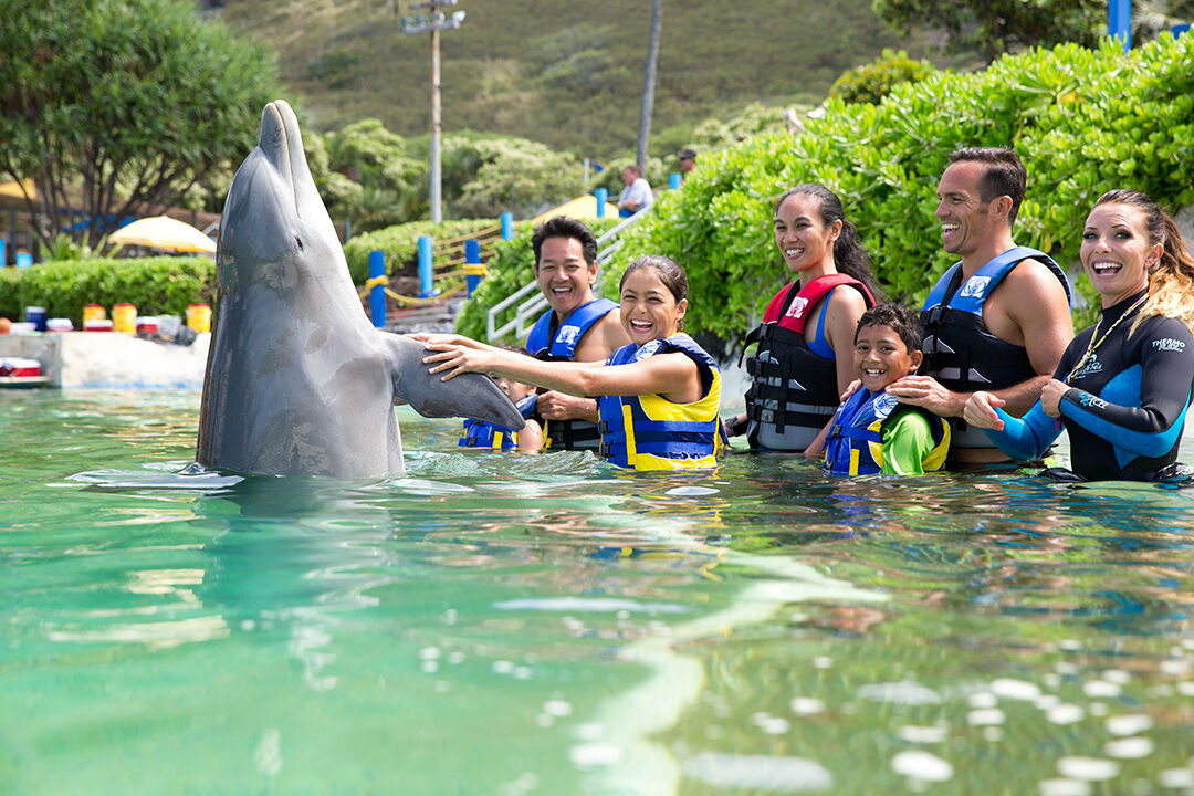 여행 상품 이미지