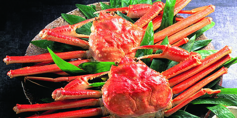 product-thumbnail-3