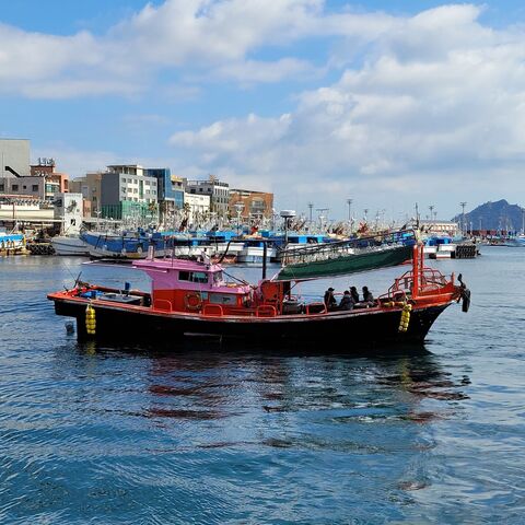 제주도 체험·액티비티 - (당일예약가능) 도시어부 in 제주, 천일호 배낚시 2시간 (서귀포)