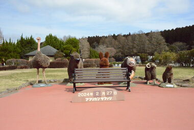 가족과 함께 하는 일본 여행 아프리칸 사파리  돌고래 수족관  하모니랜드 유후인 마메다마치