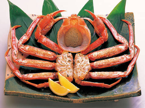 product-thumbnail-4