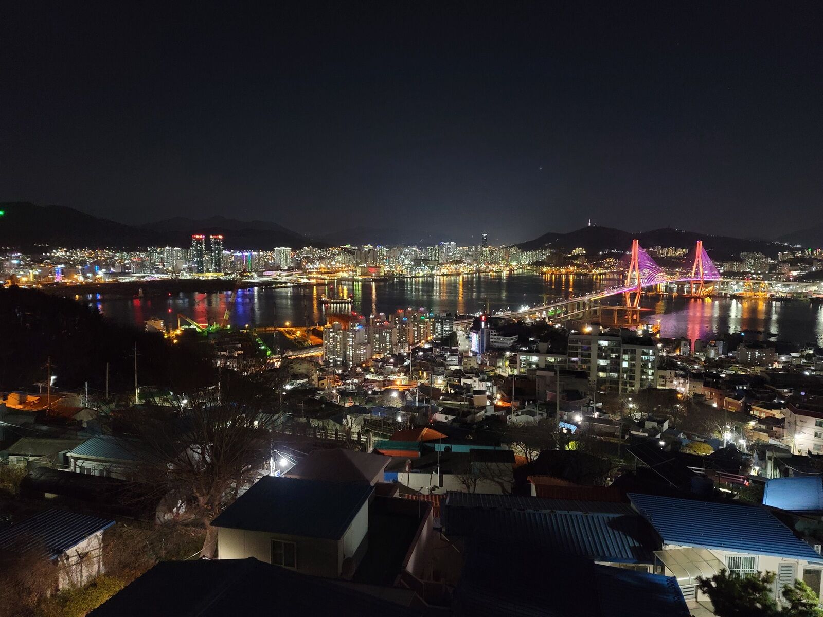 부산 야경 즐기고, 수산물 경매 구경하러 고!고!고! 인생샷은 덤~!