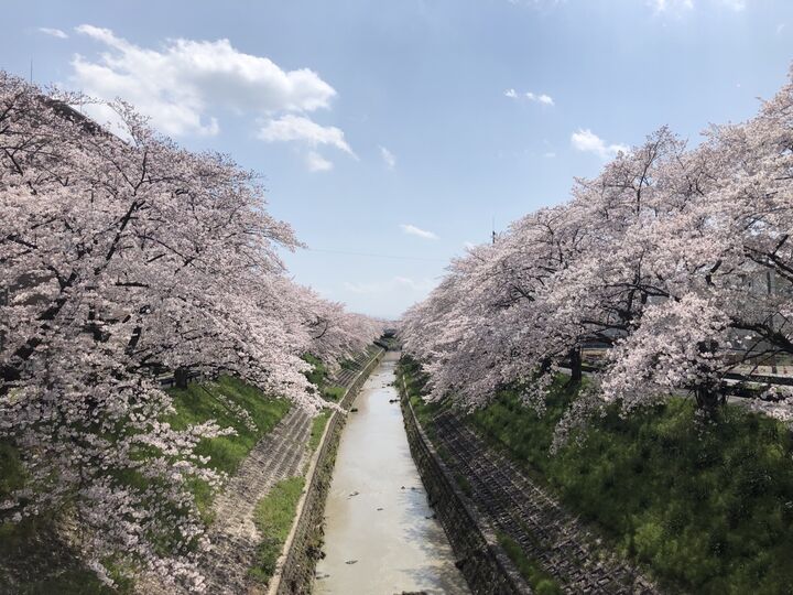 [교토] 실속 있는 알짜 일일 프라이빗 투어 가족여행 추천-i