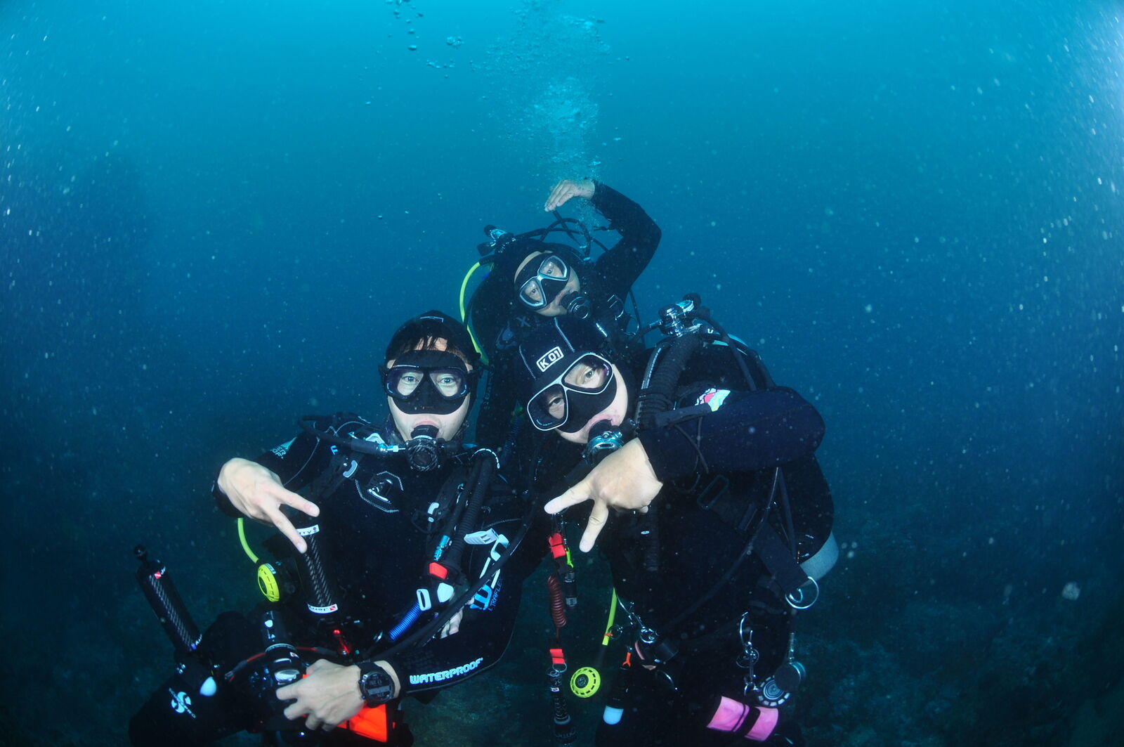 [서귀포] 바다다이브 이색 체험 다이빙 (experience diving)