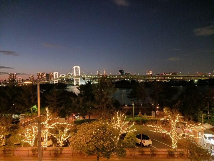 [도쿄 KURUMA] 프라이빗 도쿄시내 반나절 관광 단독차량 고급밴-i