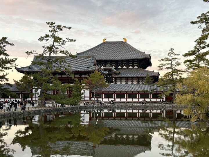 [나라 1일 투어] 단독차량 오사카 출발 ｜사슴공원·동대사·호류지｜한인 공식가이드-i