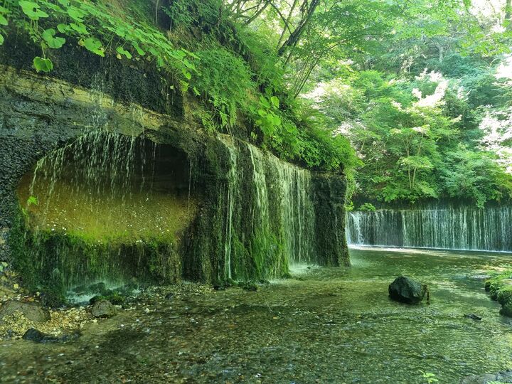 [도쿄 KURUMA] 일본의 고급스러운 산속휴양지 가루이자와 관광 단독차량 고급밴-i