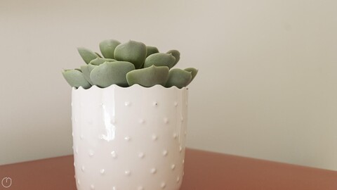 이탈리안웨이 컬렉션 - 스트라디바리 4