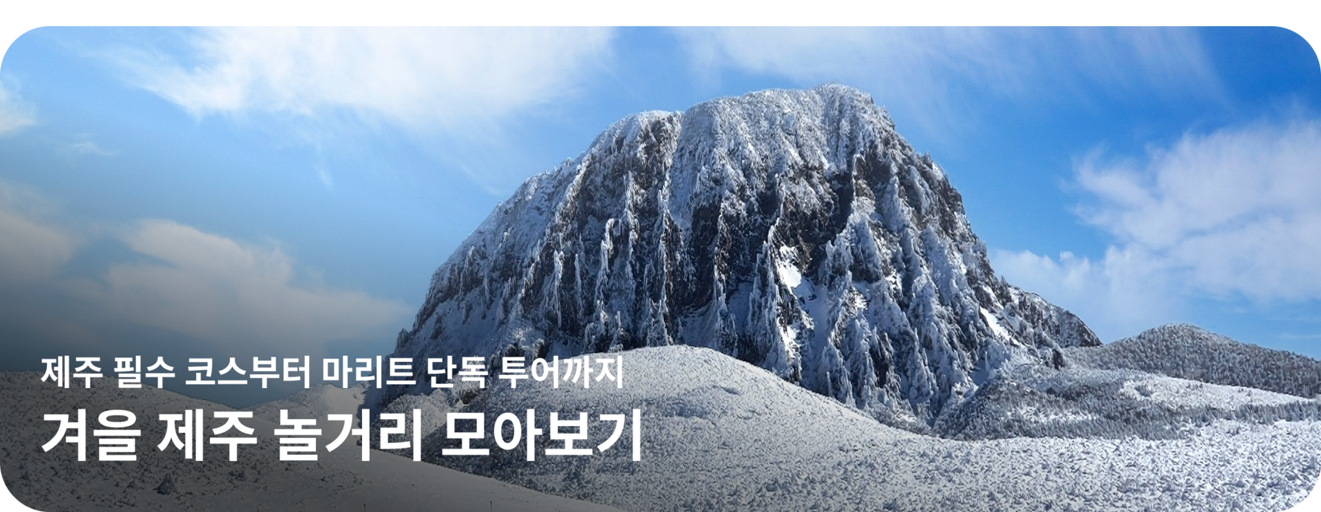 프페 상단_PC.png