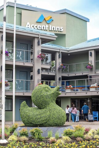 엑센트 인스 빅토리아